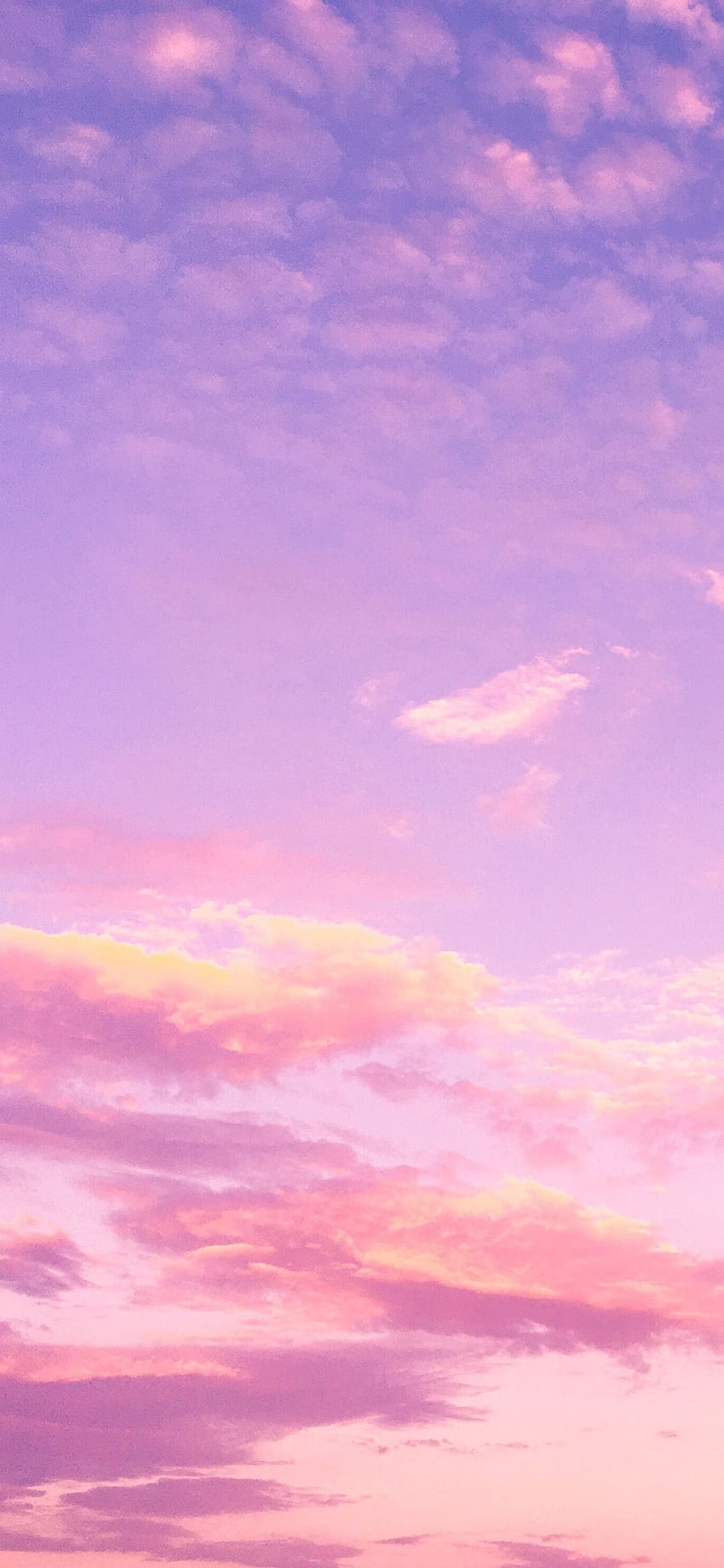 Céu rosa, nuvens roxas rosa iphone Papel de parede de celular HD