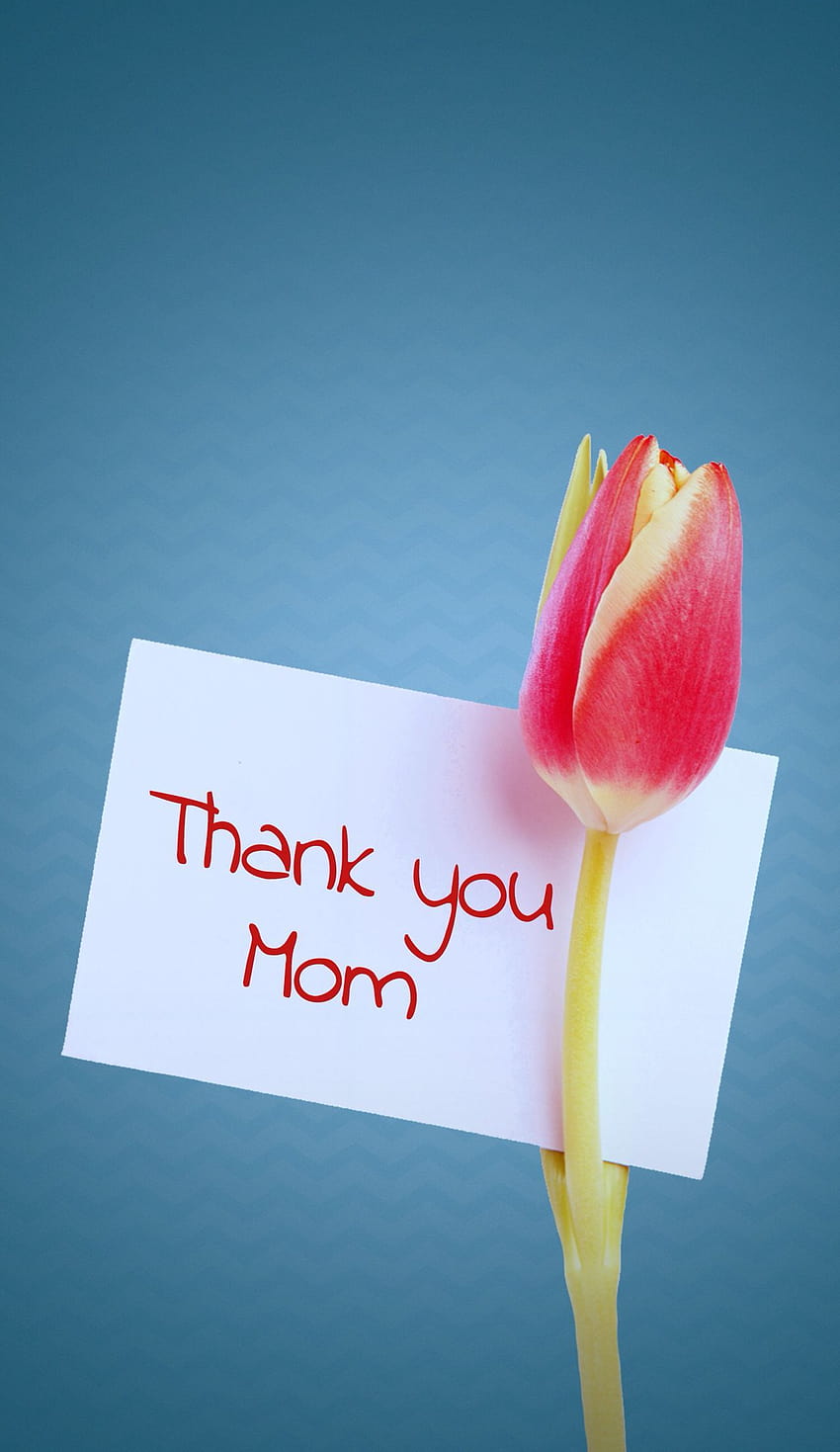 Anneler Günü . Sadece sevimli bir için annenize bir tane gönderin, sevimli anneler günü HD telefon duvar kağıdı