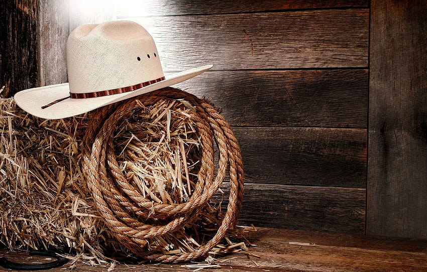 USA, cappello, stile, legno, nazione, Texas, cowboy, stivali, America, corda, fieno, assi, ferro di cavallo, cappello da cowboy, sezione разное Sfondo HD