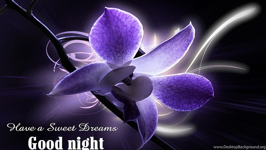 See the Flowers that Bloom All At Once, One Night a Year
