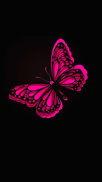 VSCO Butterfly Aesthetic Cover Wallpapers  Wallpaper Cave