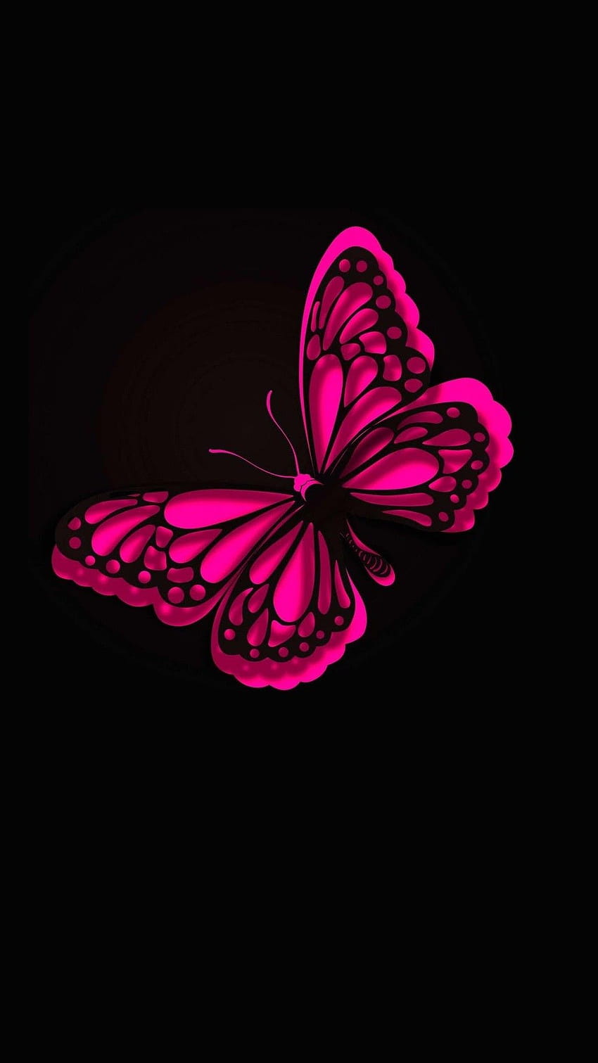 아이폰 핑크 나비, vsco 나비 미학 커버 HD 전화 배경 화면