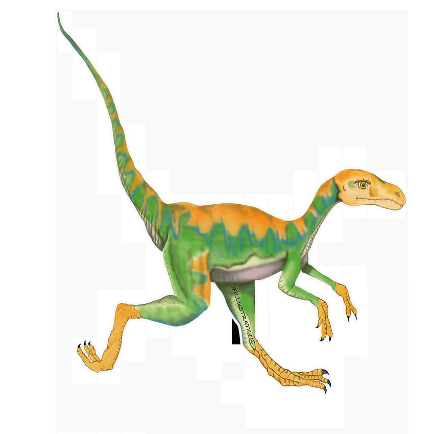 Dinosaur Compsognathus Sticker, Green HD phone wallpaper