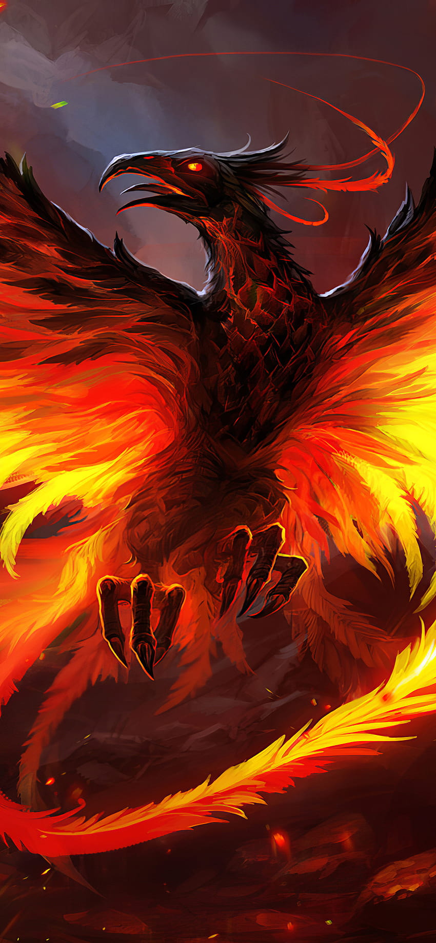 1242x2688 Phoenix The Red Bird Iphone XS MAX , Backgrounds, and, fire phoenix HD phone wallpaper