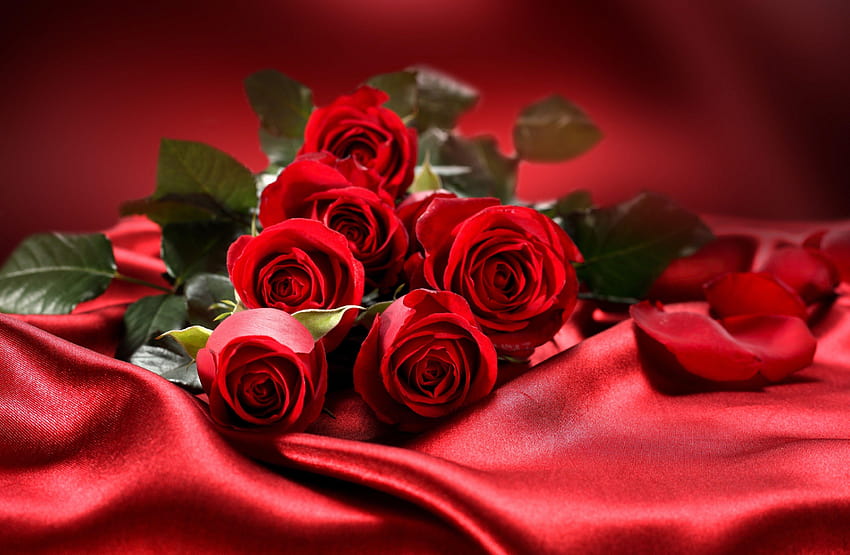 Rosas rojas en la seda roja, flor de san valentín. fondo de pantalla