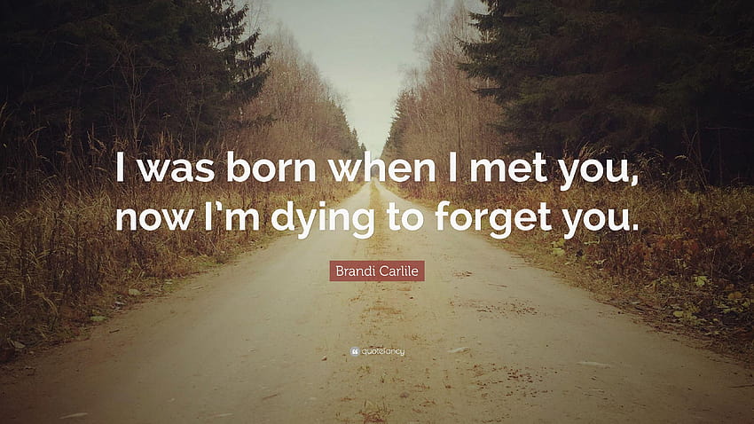 Цитат на Бранди Карлайл: „Родих се, когато те срещнах, сега умирам за HD тапет