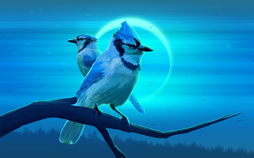 Blue Jays, Vogel, Blue Jay, Schnabel, Jay, hockender Vogel, Singvogel, Tierwelt, Blue Jay Vogel HD-Hintergrundbild
