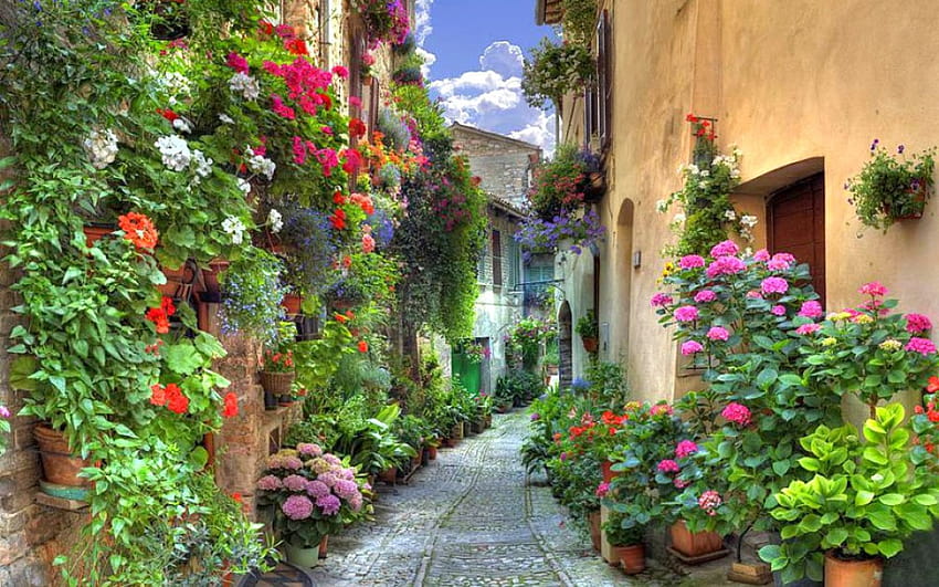 Italian Garden, gardens of varenna HD wallpaper