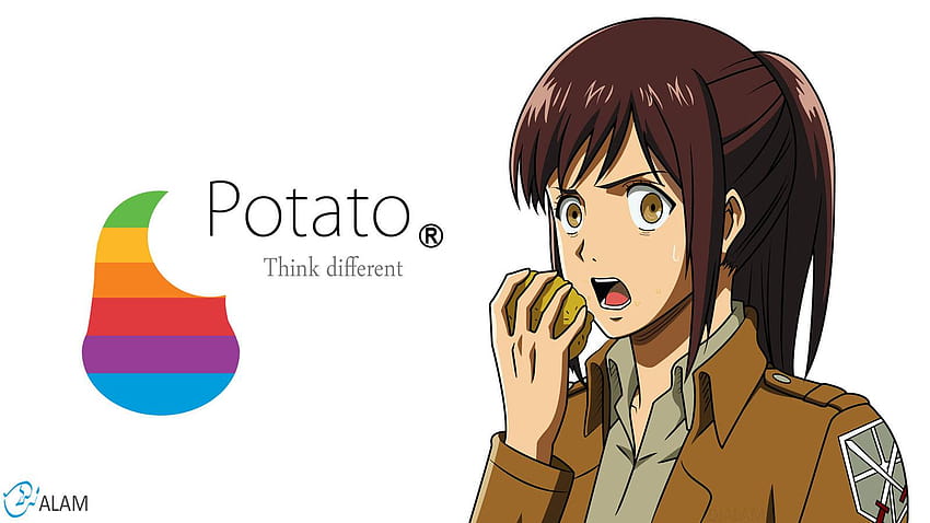 potato girl Attack on Titan [1600x900] for your , Mobile & Tablet HD wallpaper