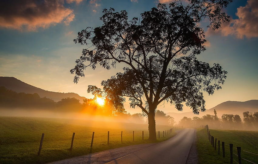 strada, alba, albero, alba, campo, mattina, Tennessee, Great Smoky Mountains sunrise Sfondo HD