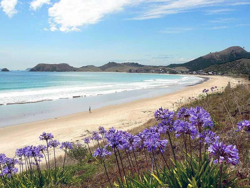 Opito Bay, Coromandel Peninsula, North Island, New Zealand HD wallpaper