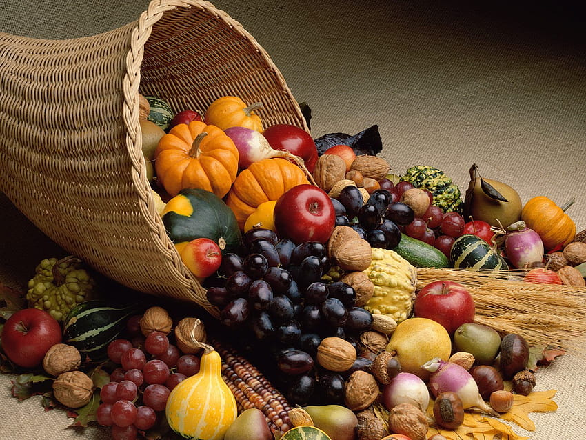 Bountiful Harvest, harvest autumn HD wallpaper