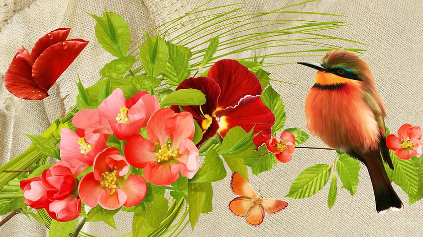 Pretty Birds Flowers For com, spring birds flowers HD wallpaper