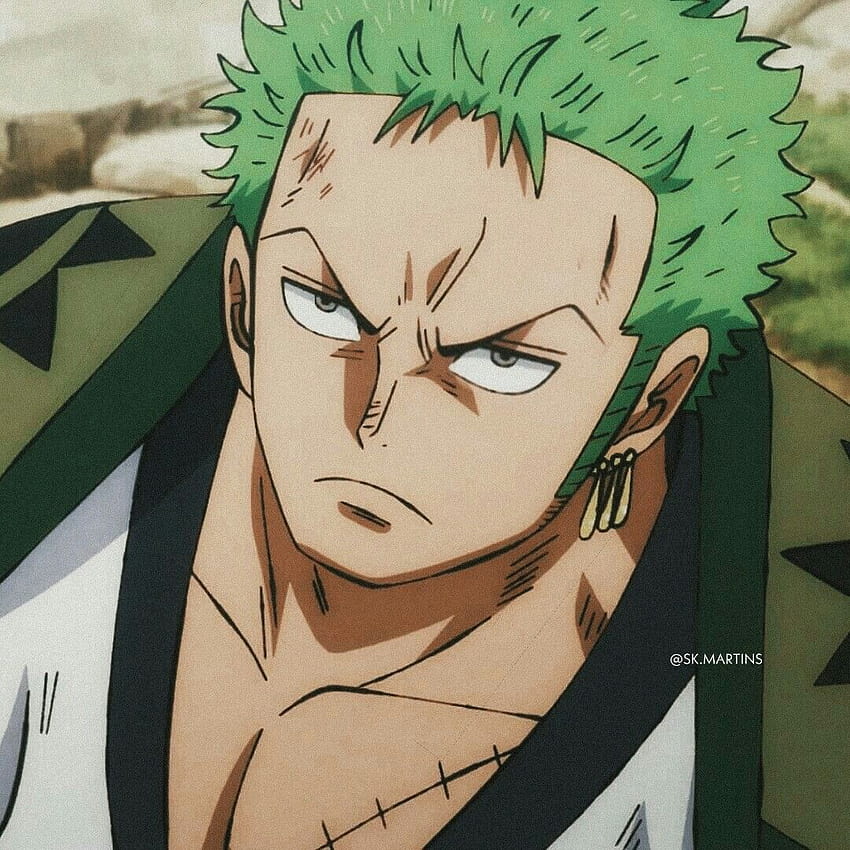 zoro icon mangá  Zoro, Mangá one piece, Anime