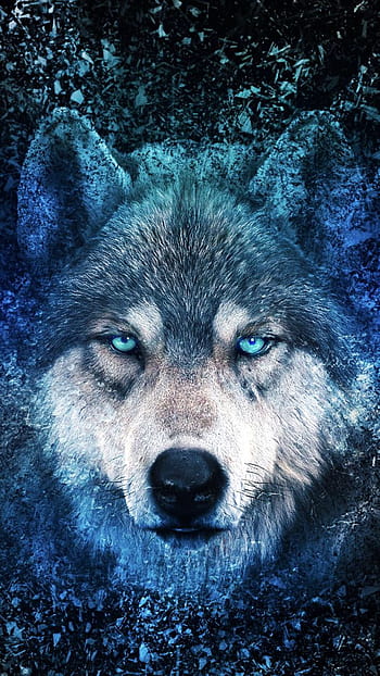 Andrea Hawkins on PICS - Me Likey. Dragon wolf, Wolf drawing, Wolf ...