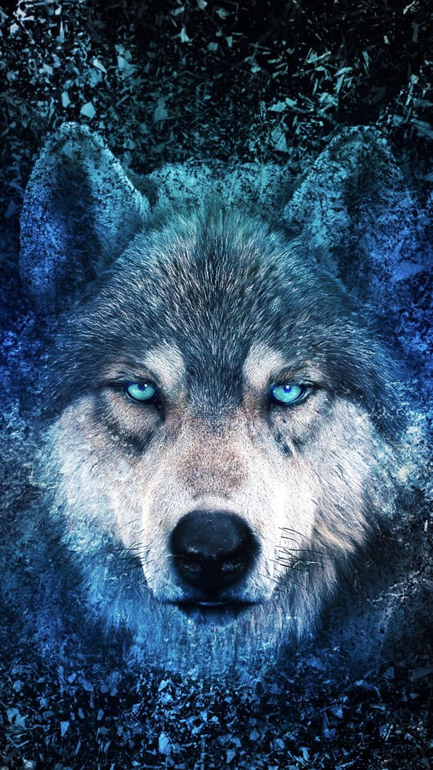 Wolf drawing, wolf hybrid HD phone wallpaper
