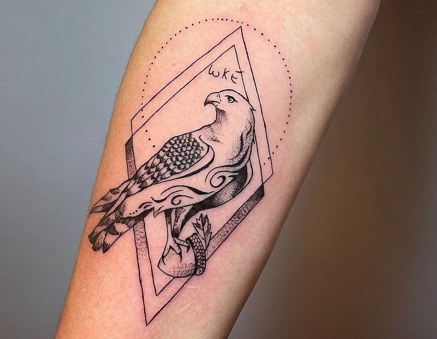 Image result for tiny hawk tattoo | Hawk tattoo, Circle tattoo, Tattoo  designs
