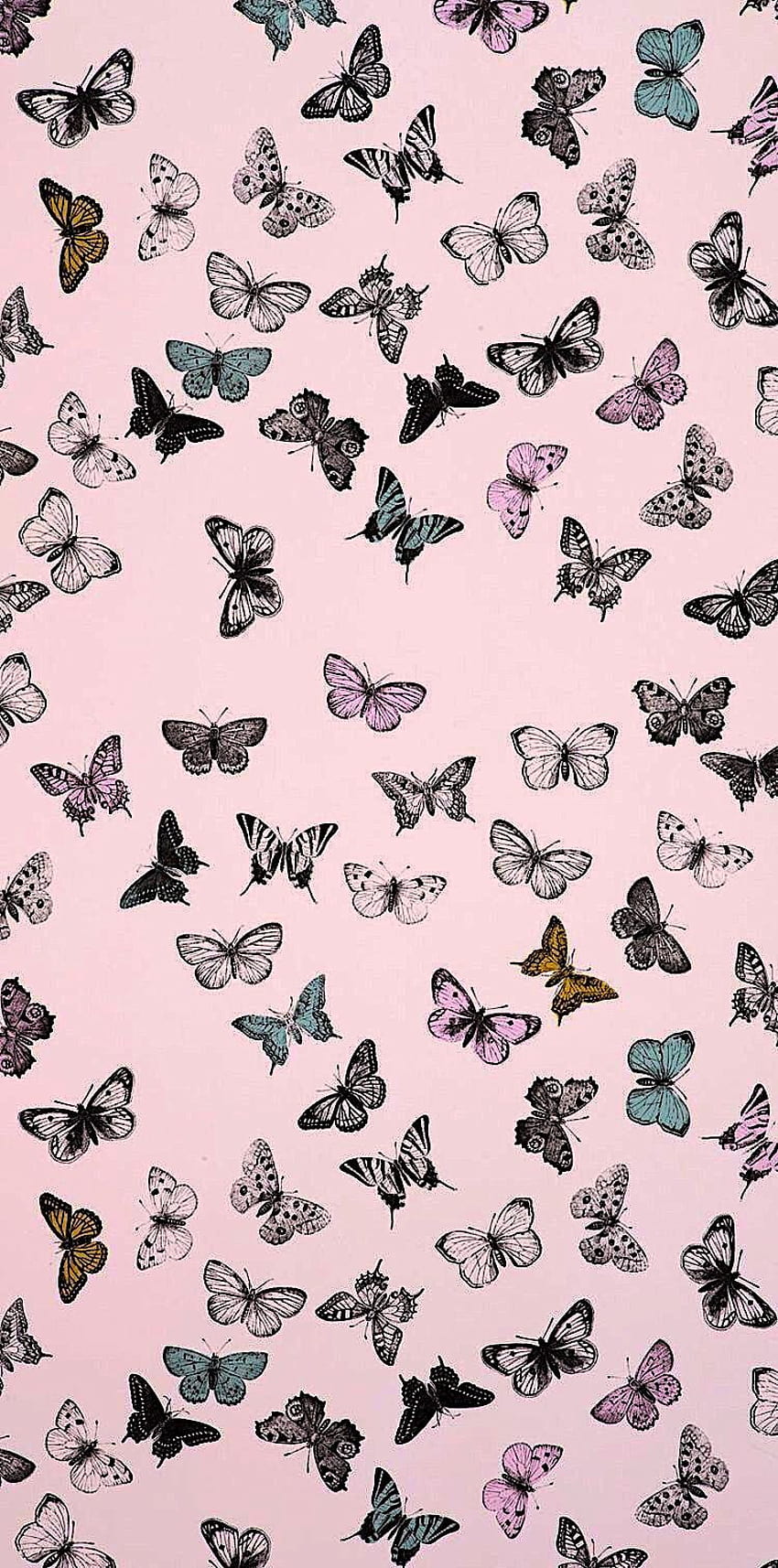 Follow @sarahetiller for more pins like this ♡, butterfly iphone HD phone wallpaper