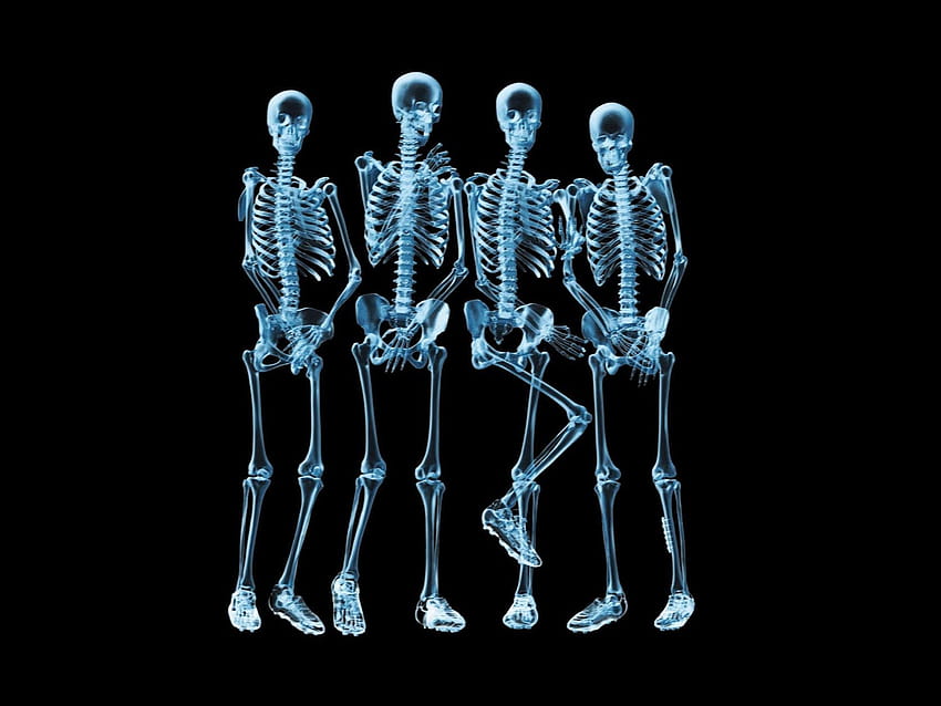 Xray funny skeletons HD wallpaper