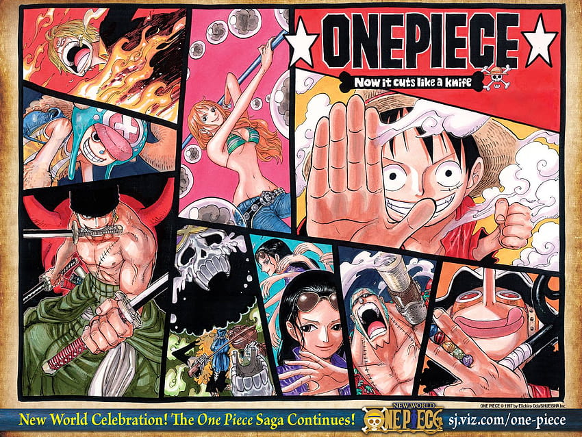 One Piece Timeskip HD wallpaper