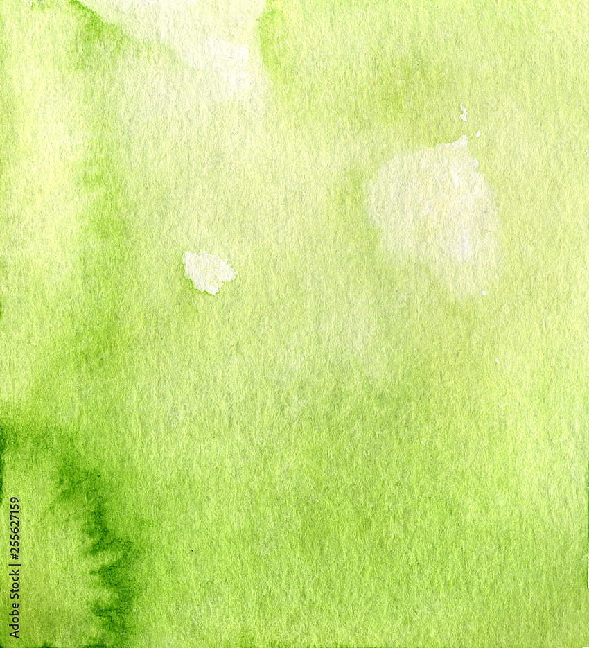 Fresh green watercolor paper background. Hand painted wet brush abstract texture. Artistic design illustration template for card, print, web and wrapping Stock Illustration HD phone wallpaper