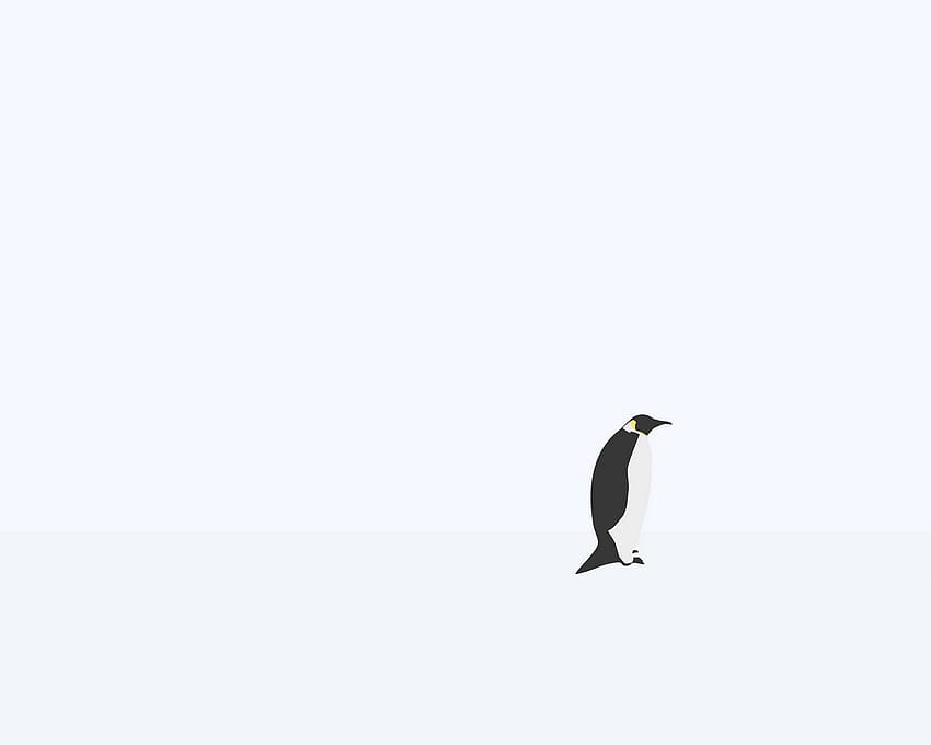 Minimalist Penguin HD wallpaper