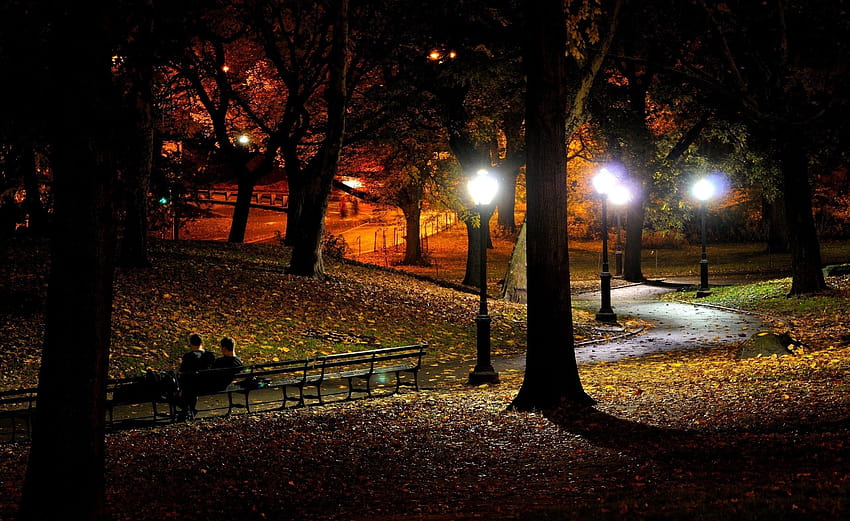 2560x1570 Herbst bei Nacht, Herbstnacht HD-Hintergrundbild