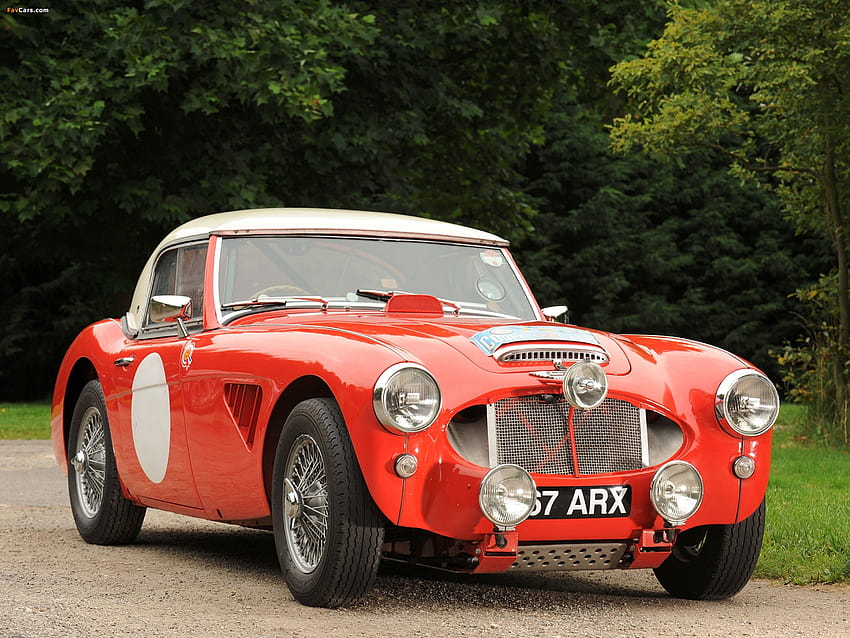 Austin Healey 3000 Rally Car HD wallpaper