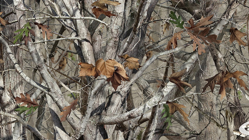 Hunting Camouflage Backgrounds Our camo pattern lineup [1900x796] for your , Mobile & Tablet HD wallpaper