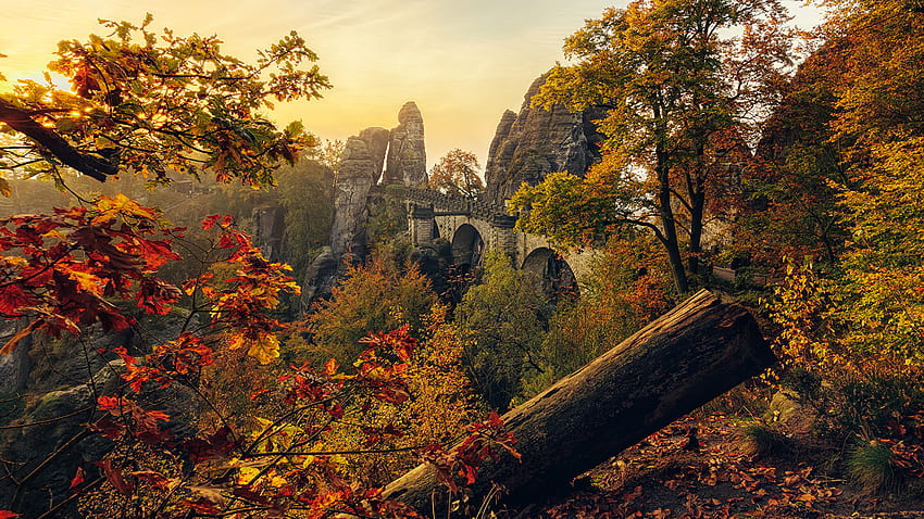 Germany Foliage Saxony Crag Autumn Nature Branches 1920x1080, autumn germany HD wallpaper