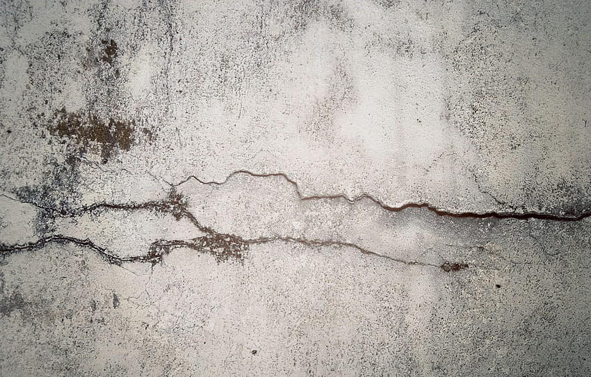 wall, moss, concrete, crack, crack in time, fancq, beton HD wallpaper