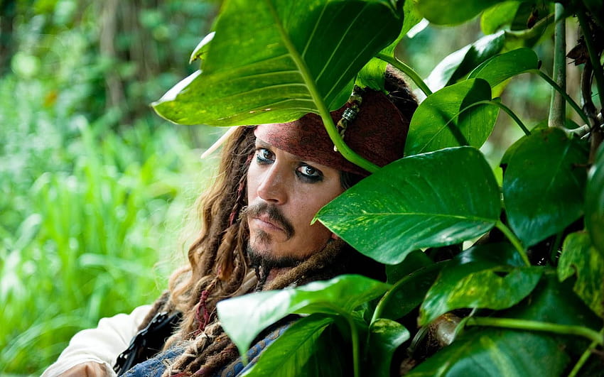 Kapten Jack di hutan, kapten jack sparrow Wallpaper HD