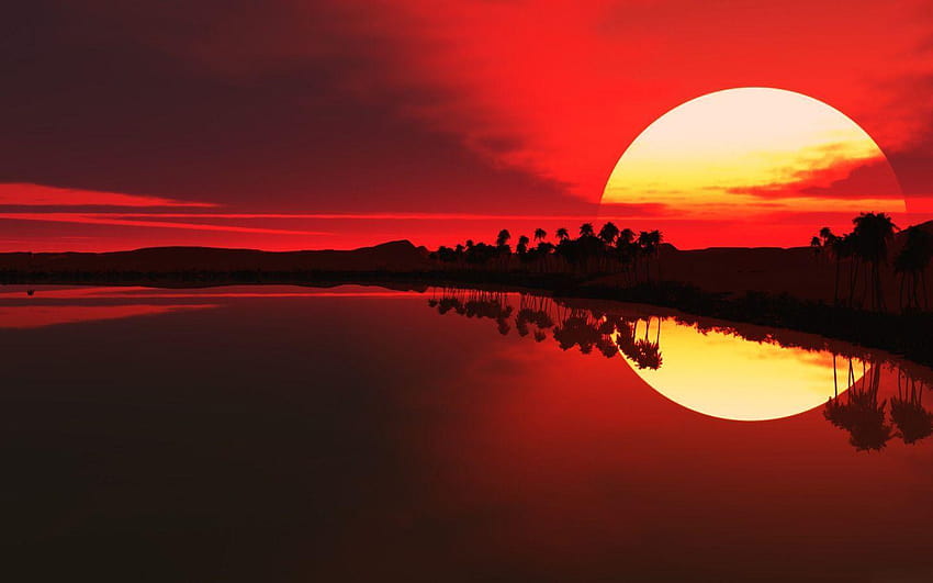 Sunset in Africa HD wallpaper