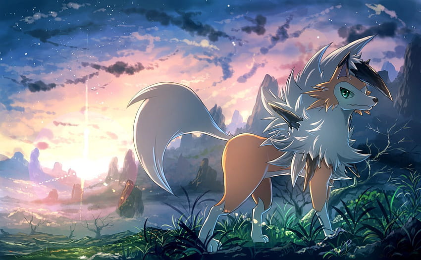 10 Lycanroc Pokemon HD Wallpapers and Backgrounds