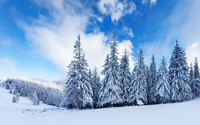 5 Large Winter Themes, prettiest winter HD wallpaper | Pxfuel