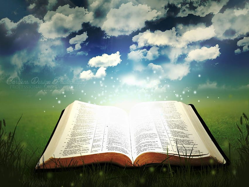 Holy Book Open Bible Quality 1024x768 Resolution Backgrounds, holy backgrounds HD wallpaper