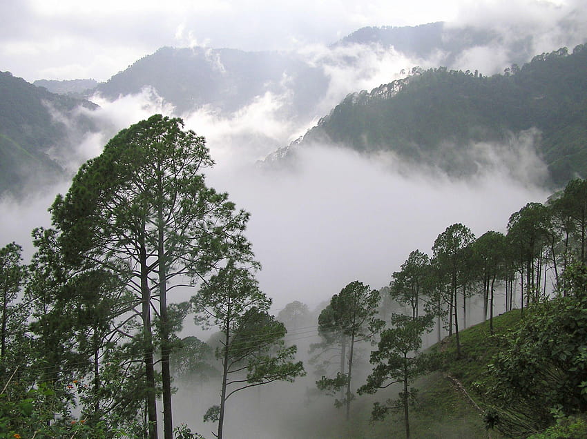 Nainital in Uttarakhand HD wallpaper | Pxfuel