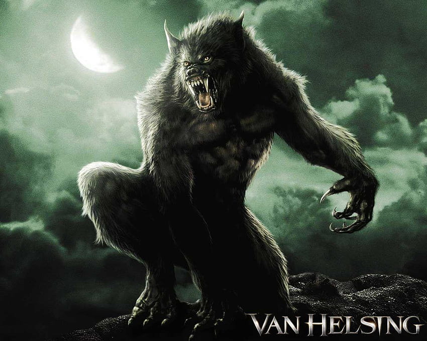 For > Van Helsing Werewolf, werewolf vs vampire HD wallpaper