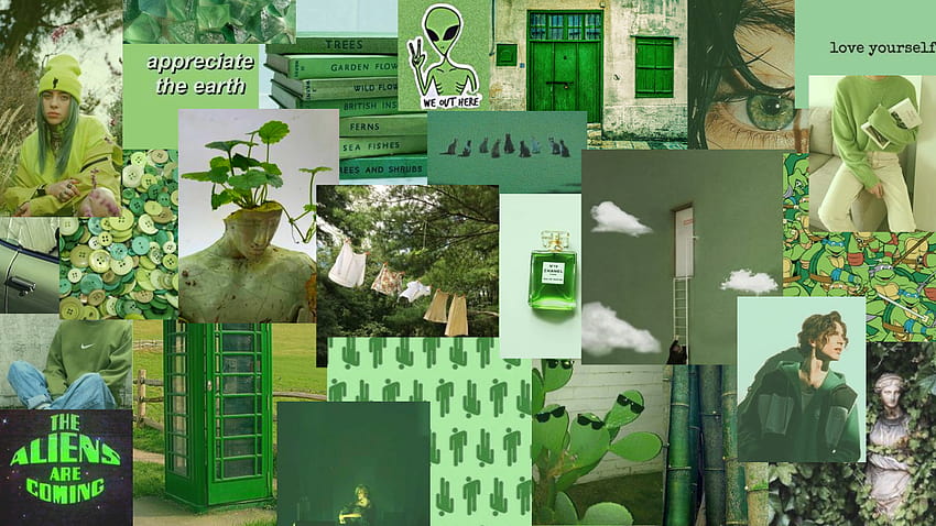 zielony wygaszacz ekranu komputera chromebook, estetyczny letni chromebook Tapeta HD