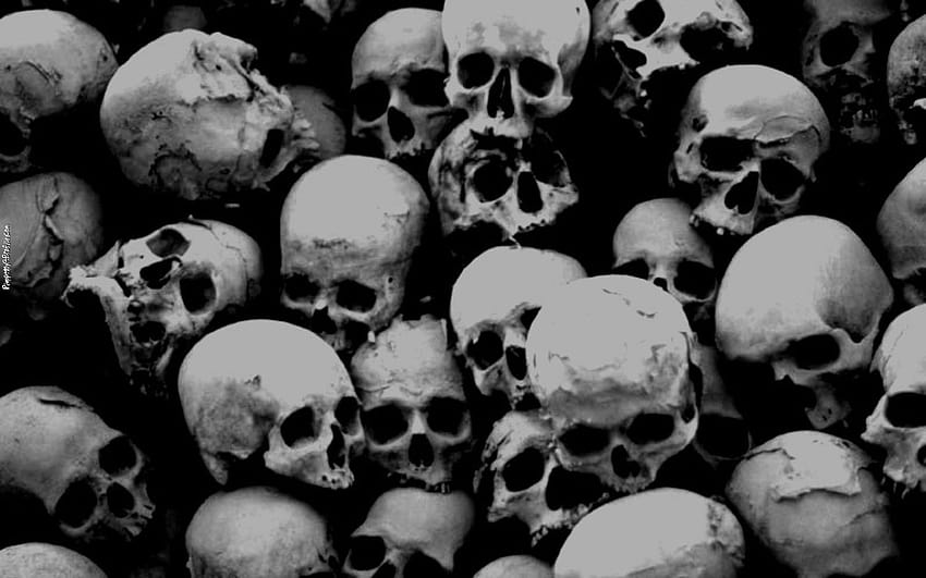 Best 4 Skull Twitter Backgrounds on Hip, skull tumblr HD wallpaper