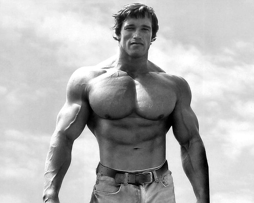 Arnold Schwarzenegger Bodybuilding HD wallpaper | Pxfuel
