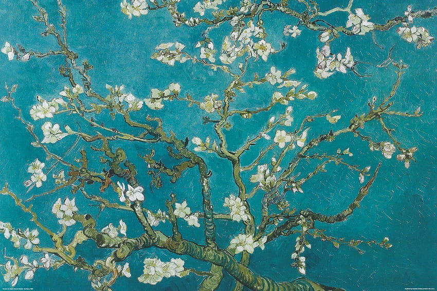 Kwiaty migdałowca Van Gogha Tapeta HD