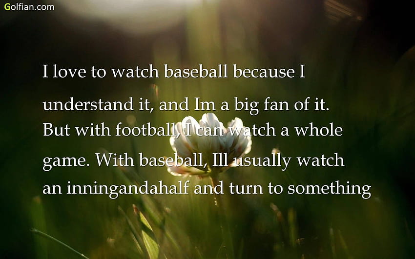 7 Short Baseball Quotes – Famous Motivational Sports, sports quotes HD wallpaper