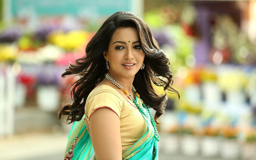 2K Free download | Catherine Tresa, indian actress, saree, beauty ...