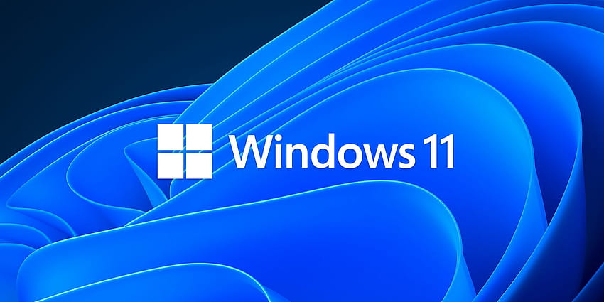 Windows 11 Yayın Tarihi Yeni Onaylandı, windows 11 logosu HD duvar kağıdı