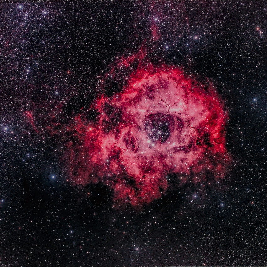 バラ星雲, NGC 2244, 銀河系, 恒星, , 宇宙空間 HD電話の壁紙