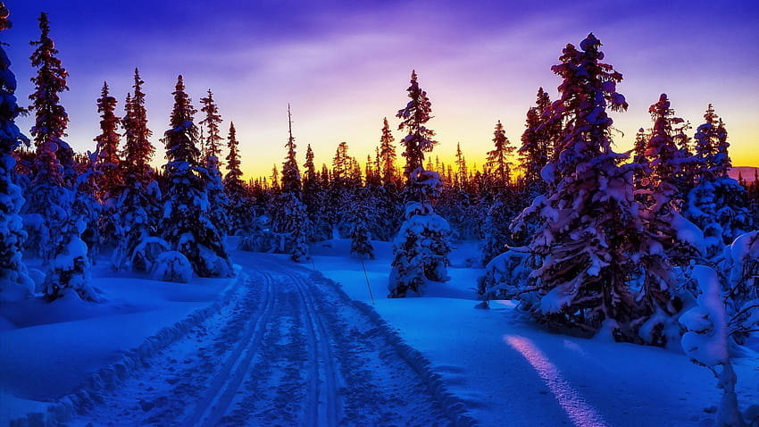 1920x1080 Winter Forest Snow Road Sunset PC 및 Mac, 겨울 석양 1920x1080 HD 월페이퍼