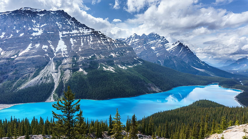 lago, montañas, árboles, cielo, Canadá, lago Peyto, parque nacional Banff, azul / y Mobile &, lago bow canada fondo de pantalla