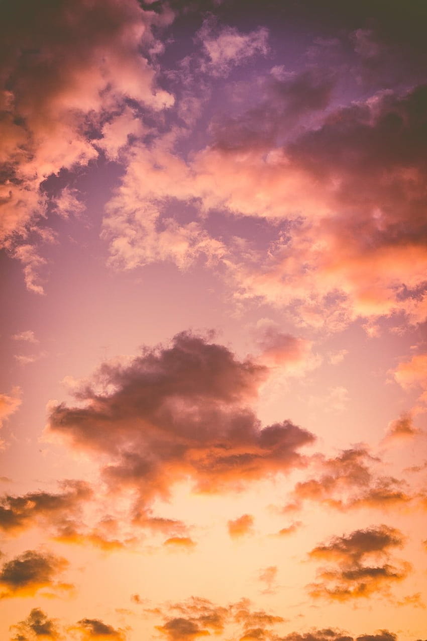 2 Sunset [Stunning!], beautiful evening HD phone wallpaper
