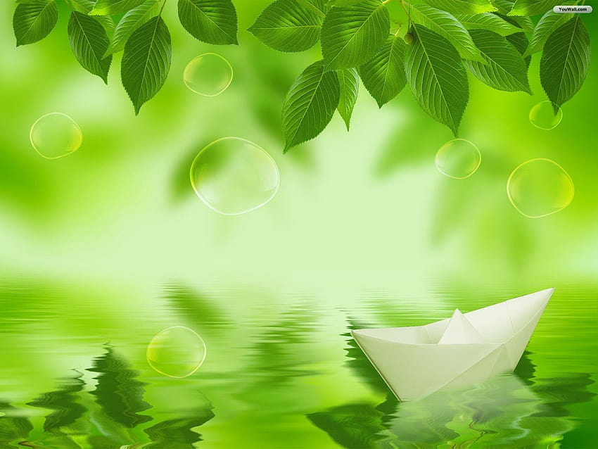 Grüne Blätter HD-Hintergrundbild
